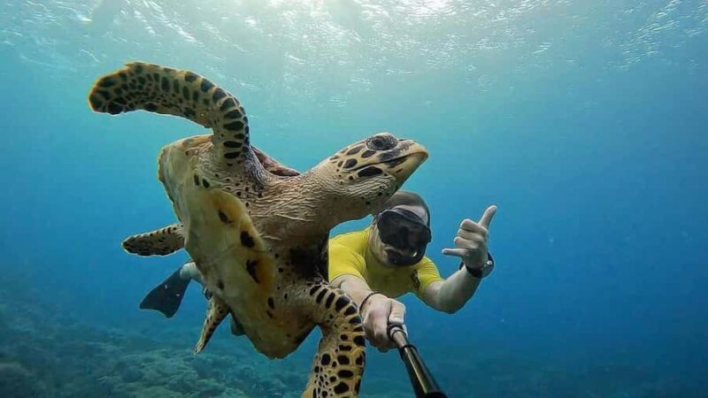 Lembongan: Manta Bay, Turtle Bay, & Gamat Bay Snorkeling - A Closer Look at the Itinerary