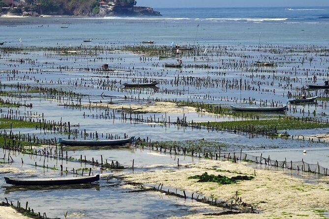 Lembongan Snorkeling Swim With Manta Rays and Island Tour - FAQ