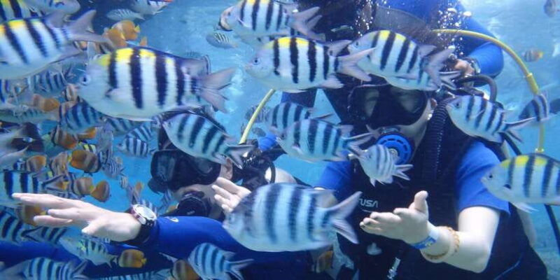 lembongansnorkeling-3-point-area-mantacristalmangrove