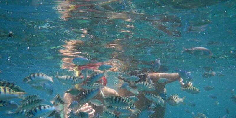 lembongansnorkeling-3-point-area-mantacristalmangrove