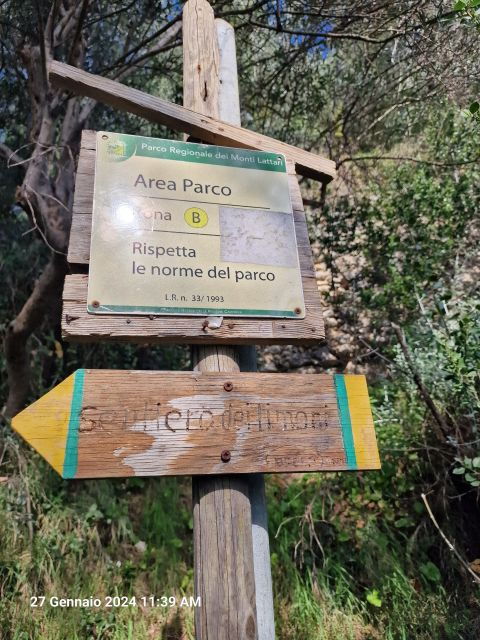 lemon-path-amalfi-coast