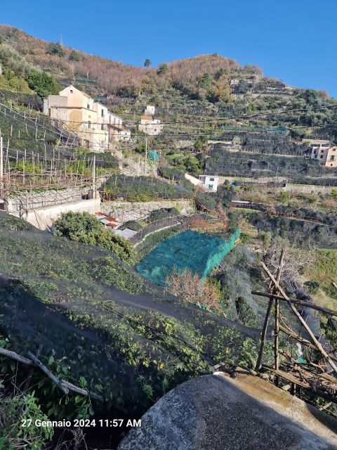 lemon-path-amalfi-coast