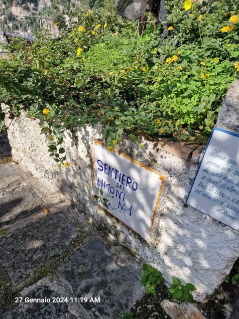 lemon-path-amalfi-coast