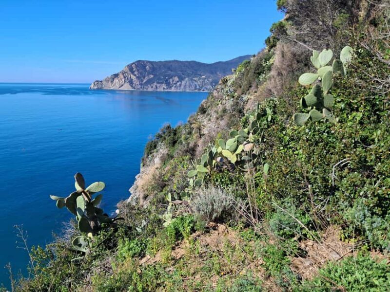 Lemon tour with limoncino and wine tasting in Vernazza (Cinque Terre) - What’s Included and What to Bring