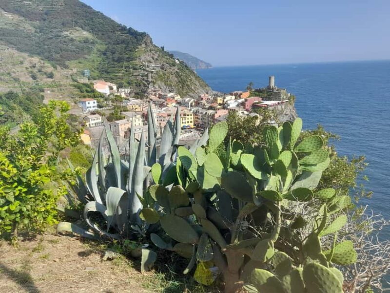 Lemon tour with limoncino and wine tasting in Vernazza (Cinque Terre) - Final Thoughts: Why This Tour Is Worth It