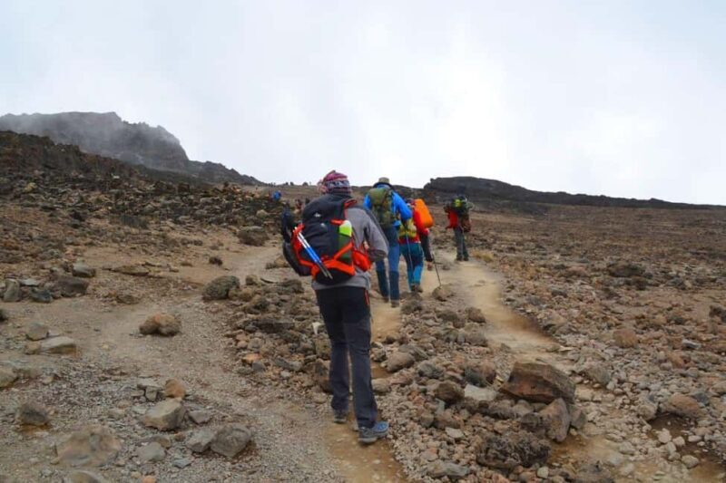 Lemosho Route 10 Days/ 9 Nights 8 Days on the Mountain. - Key Points