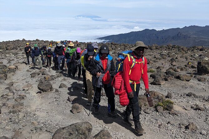 Lemosho Route 7 Days Trekking at Mount Kilimanjaro - Final Thoughts