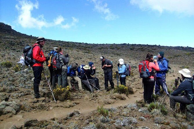 Lemosho Route 8 Days 7 Nights/Kilimanjaro Climb - Final Thoughts