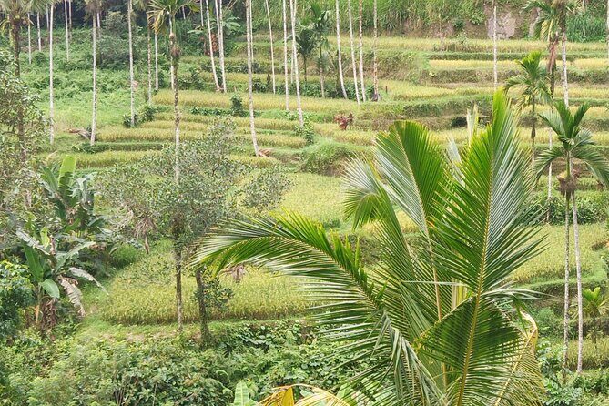 Lempuyang Gate Heaven, tirta gangga & tukad cepung waterfall - FAQ