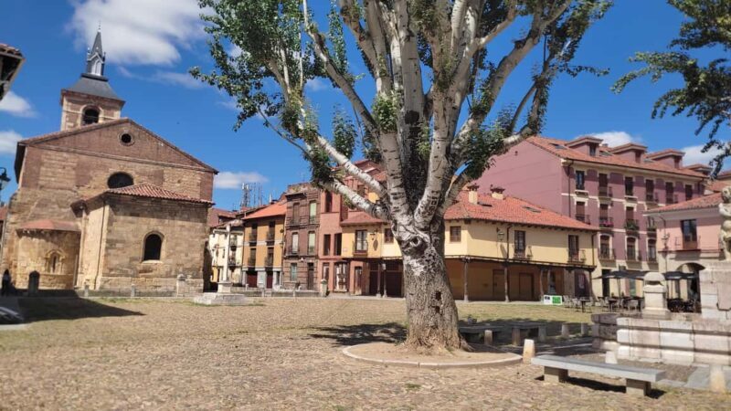 León: Guided tour by a local art historian - Who Should Consider This Tour?  