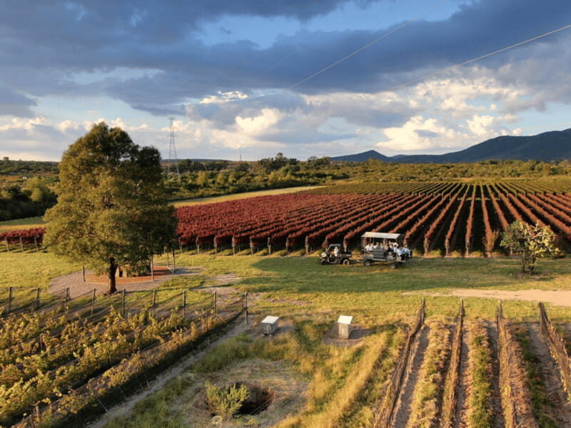 Leon: Tierra de Luz Vineyard Tour with Wine Tasting - Key Points