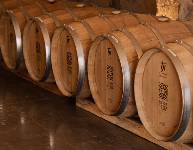 Leon: Tierra de Luz Vineyard Tour with Wine Tasting - An In-Depth Look at the Tierra de Luz Vineyard Tour