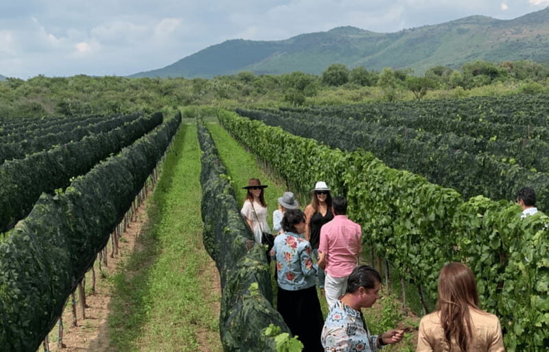 Leon: Tierra de Luz Vineyard Tour with Wine Tasting - Final Thoughts