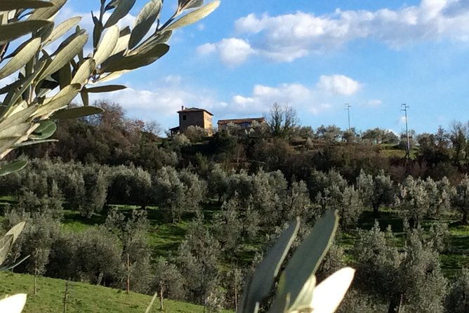 leonardo-da-vinci-voyage-with-olive-oil-food-and-wine-dream