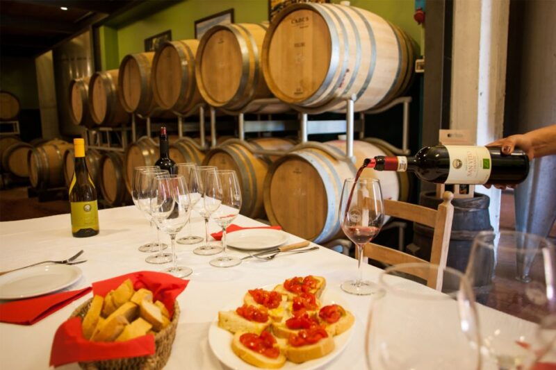 leonardo-da-vincis-homeland-private-excursion-from-florence