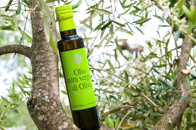 leonardo-da-vincis-wind-mill-visit-and-organic-olive-oil-tasting