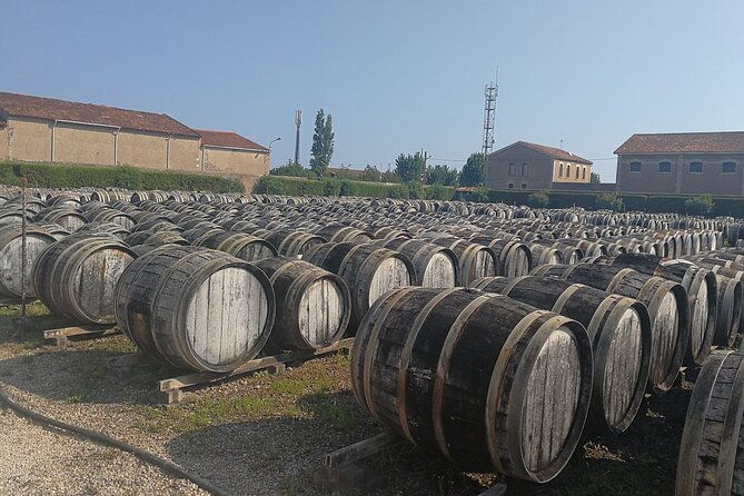les-baux-de-provence-wine-day-tour-8-hours