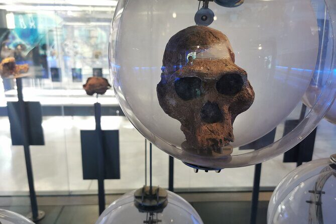 Lesedi Cultural Village and Cradle of Humankind Tour - Authentic Insights from Reviewers
