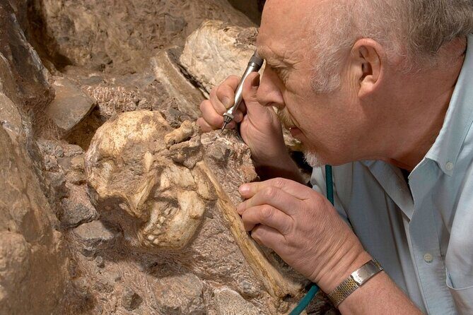 Lesedi Cultural Village & Cradle of Humankind - Exploring the Cradle of Humankind  