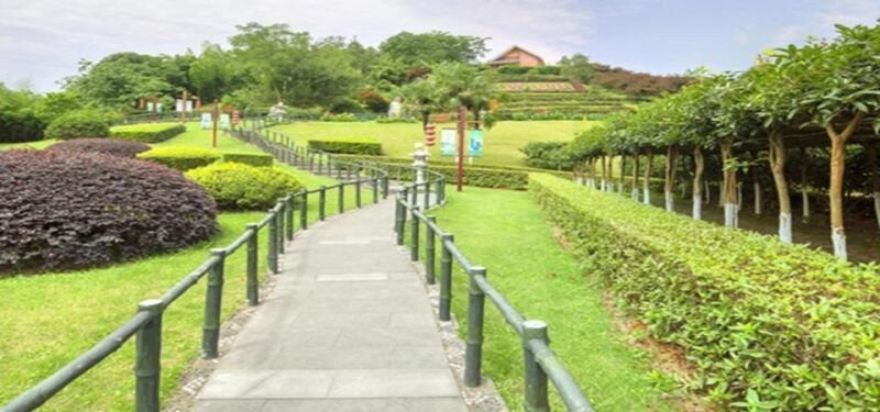 leshan-buddha-tea-housemt-emei-2-days-private-tour