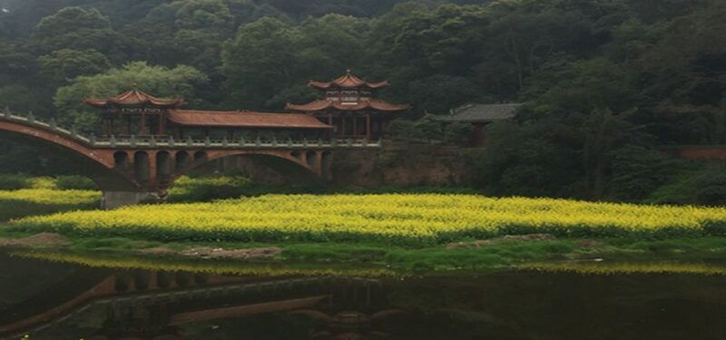 leshan-buddha-tea-housemt-emei-2-days-private-tour