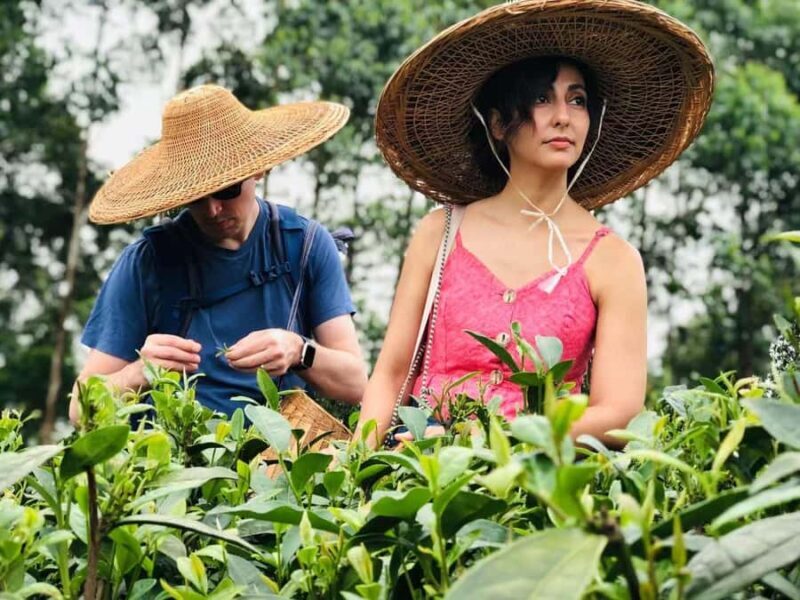 Leshan: Giant Buddha, Tea Village, and Old town Day Trip - Key Points