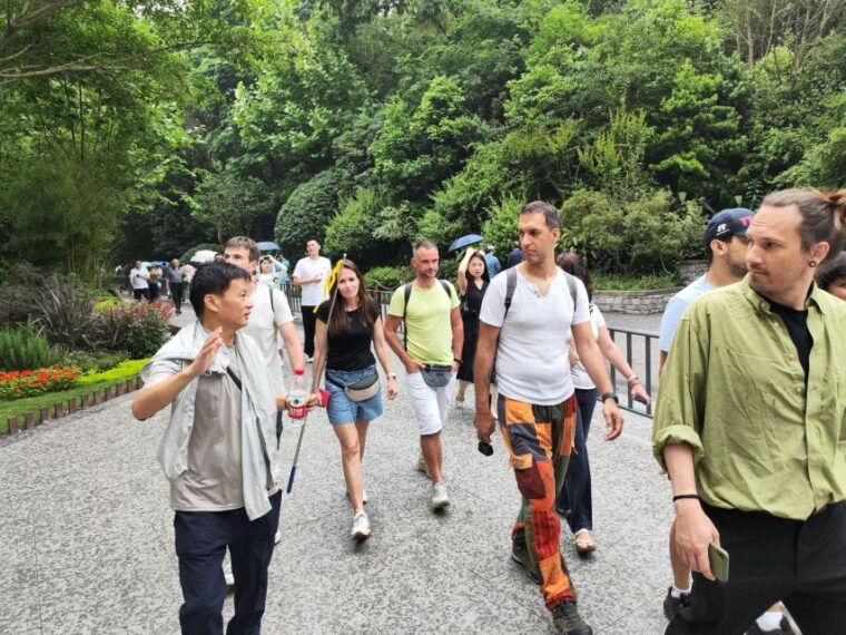 leshan-grand-buddha-scenic-area-and-panda-park-day-tour