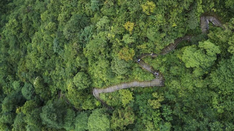 Leshan: Mount Emei Ticket - The Sum Up