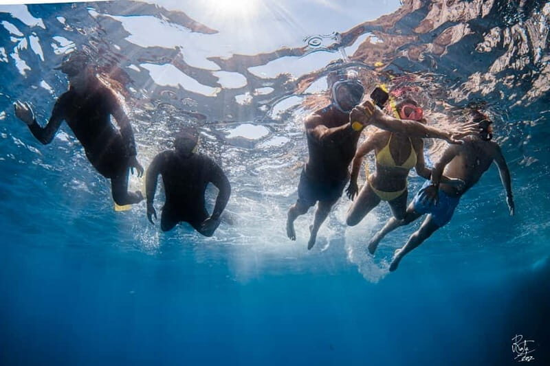 L'Estartit: Medes Islands Cruise with Guided Snorkeling - Key Points  
