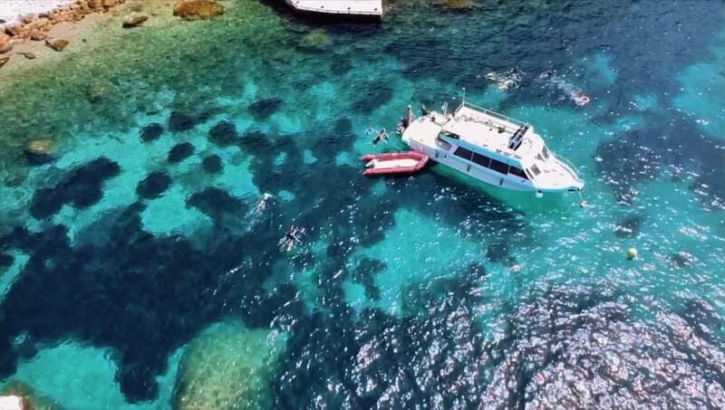 L'Estartit: Medes Islands Cruise with Guided Snorkeling - Discovering the Medes Islands: What You Can Expect