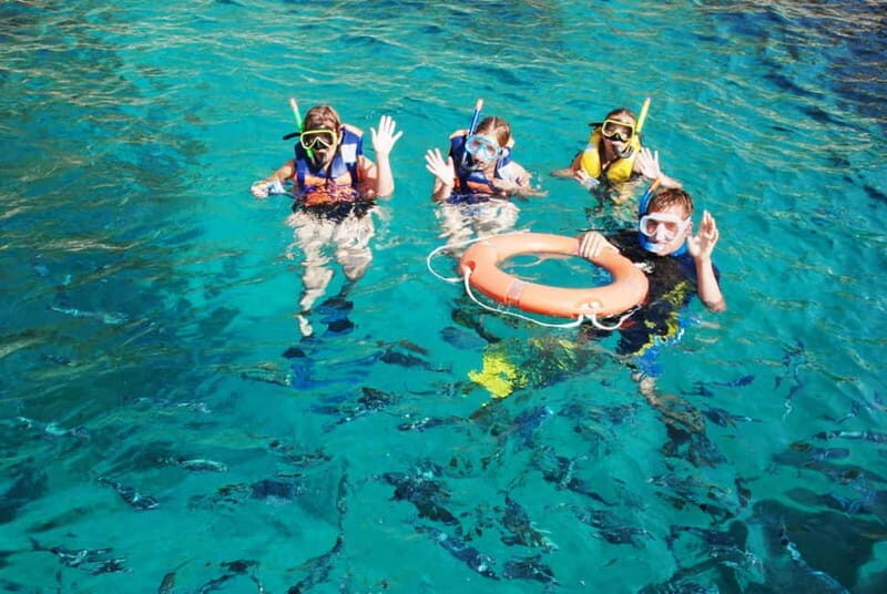 L'Estartit: Medes Islands Cruise with Guided Snorkeling - Authentic Experiences & Tips from Other Travelers