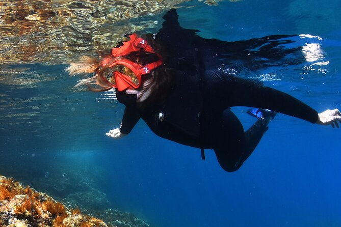 lestartit-snorkeling-in-the-medes-islands