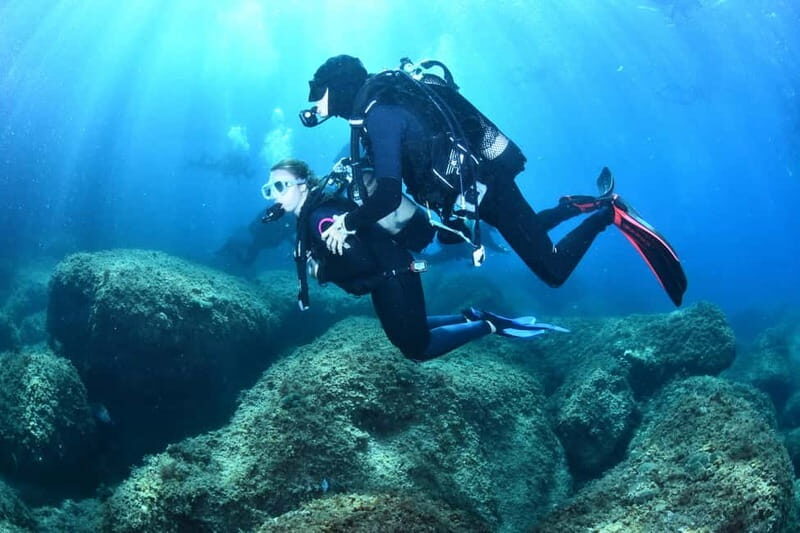 L'Estartit: Try dive in a National Park with us! - What’s Included and What You’ll Need