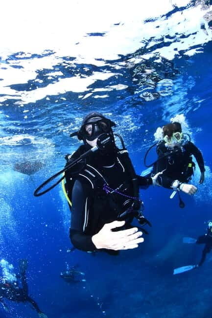 L'Estartit: Try dive in a National Park with us! - The Guide and Group Dynamics