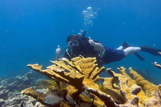 let-it-ride-charters-private-fishing-snorkel-combo-key-largo-fl