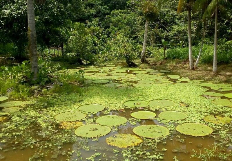 leticia-amazing-three-day-jungle-tours