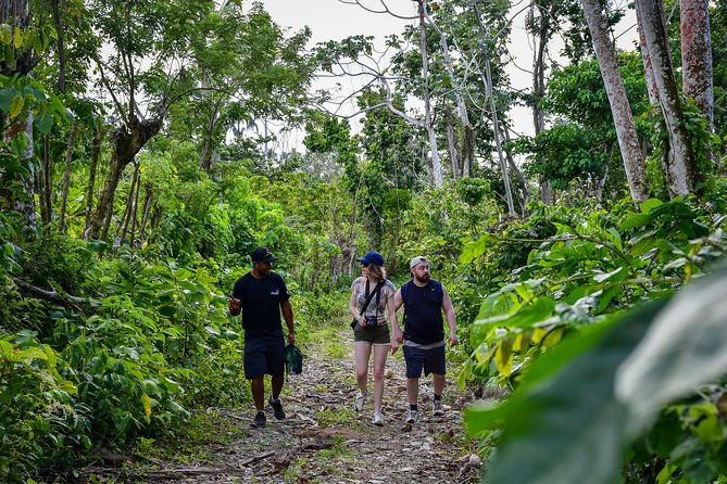 lets-do-hiking-in-punta-cana