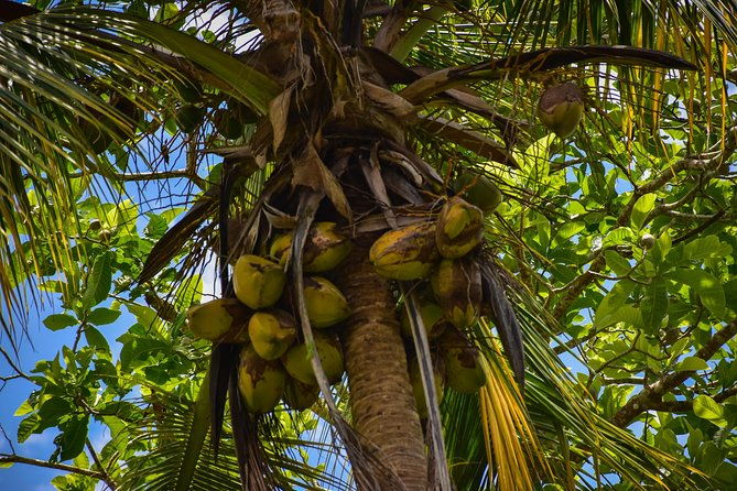 lets-do-hiking-in-punta-cana