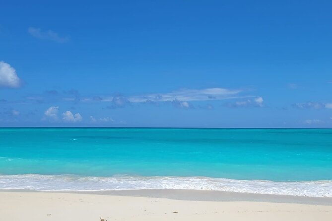 lets-get-crafty-with-bahamas-beach-finds