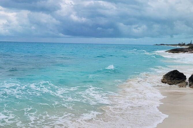 lets-get-crafty-with-bahamas-beach-finds