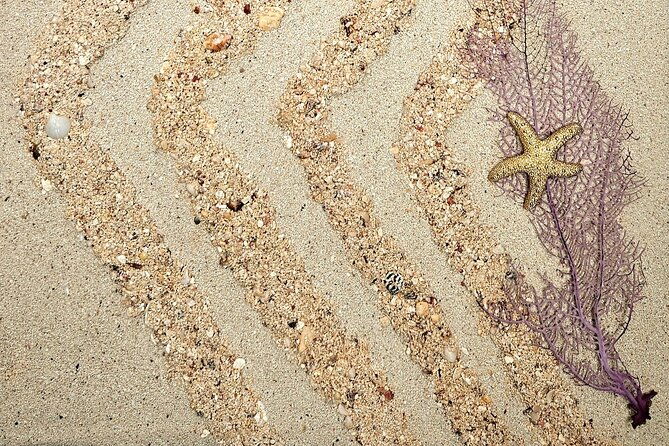 lets-get-crafty-with-bahamas-beach-finds