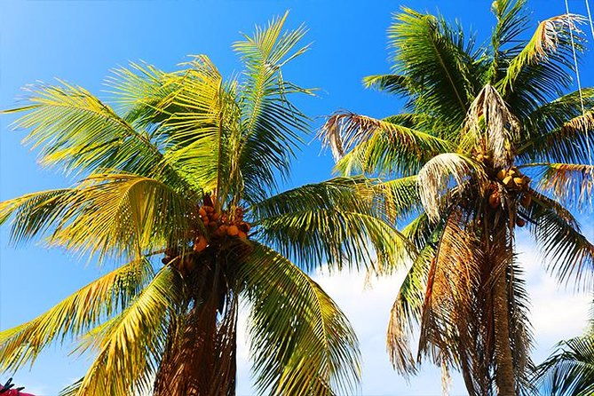 lets-go-native-roatan-city-cultural-tour-transfer