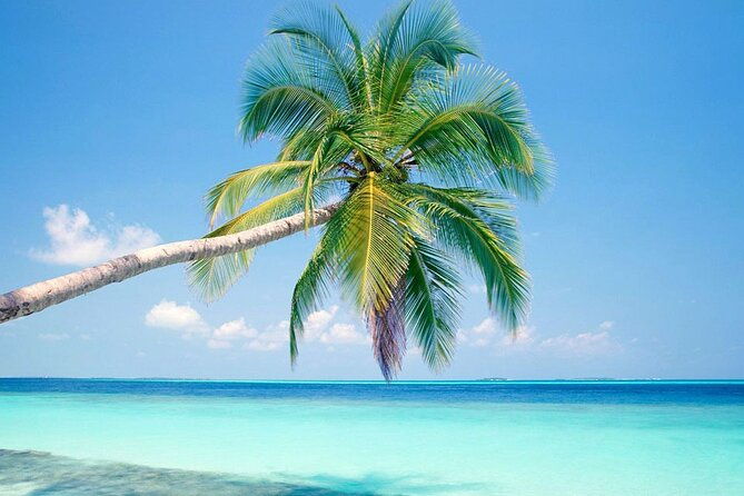 lets-go-to-jost-van-dyke-bvi