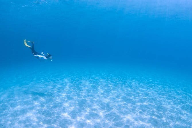 Let's swim with sea turtles in Yakushima!Snorkeling Tour - Key Points