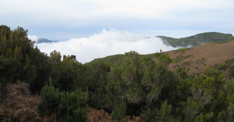levada-do-alecrim-madeira-lakes-full-day-walk