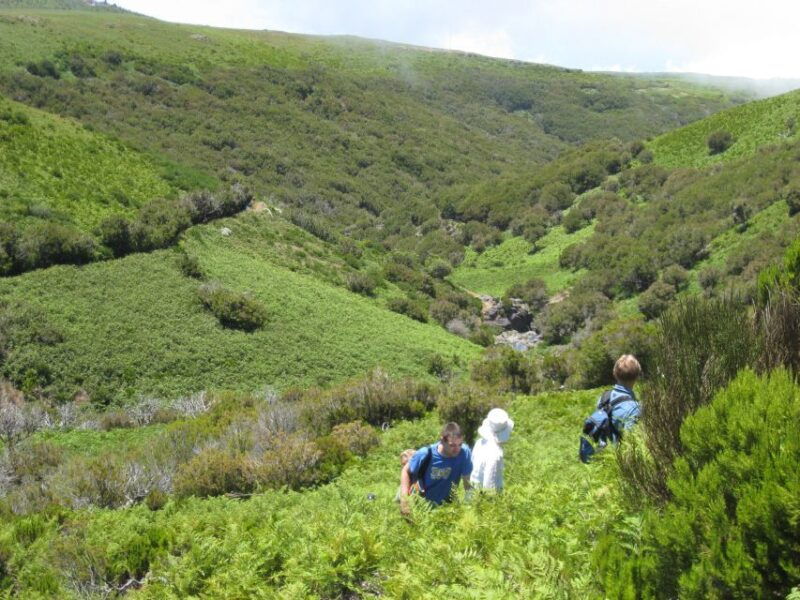 levada-do-alecrim-madeira-lakes-full-day-walk