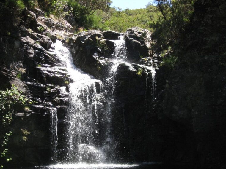 levada-do-alecrim-madeira-lakes-full-day-walk