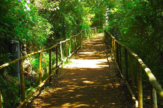 levada-do-caldeirao-verde-levada-walk-from-funchal