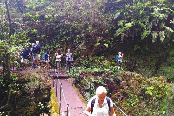 levada-do-caldeirao-verde-levada-walk-from-funchal
