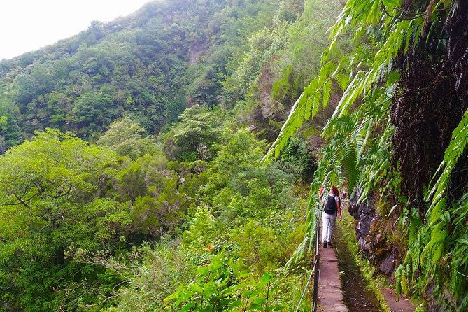 levada-do-caldeirao-verde-levada-walk-from-funchal